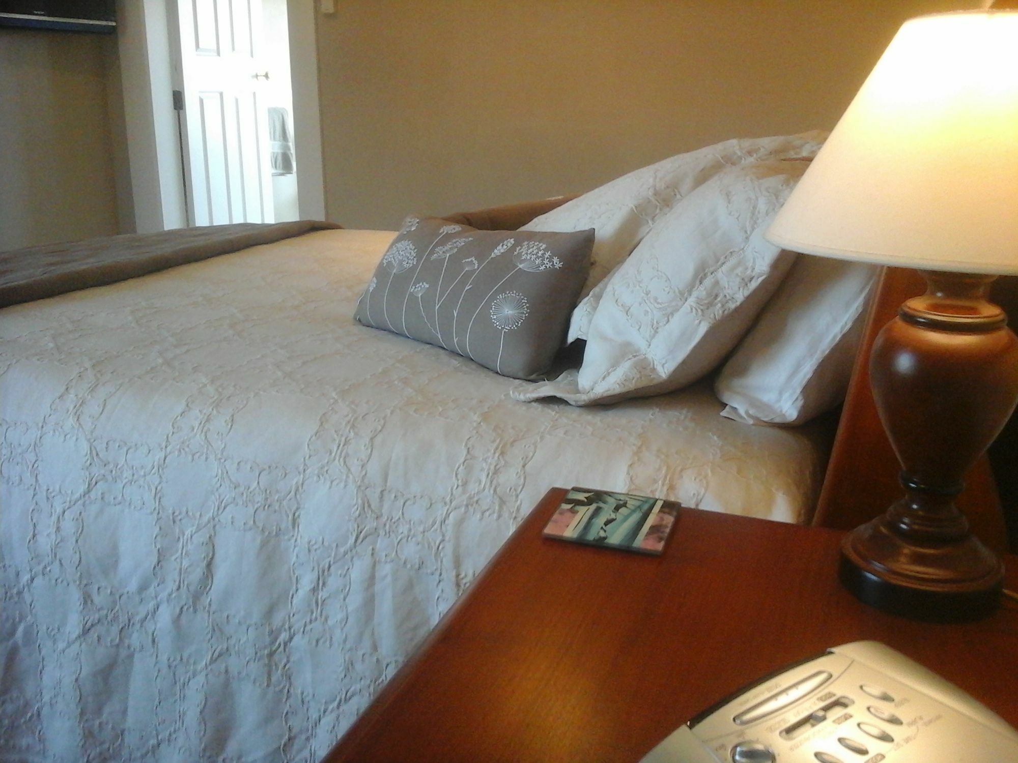Kershaw House Bed and Breakfast Richmond Exteriör bild