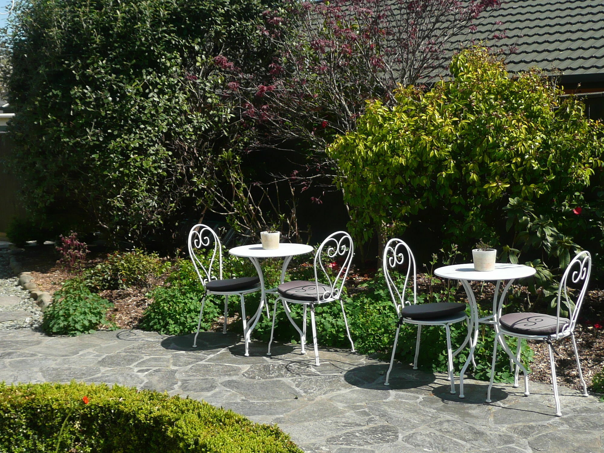 Kershaw House Bed and Breakfast Richmond Exteriör bild